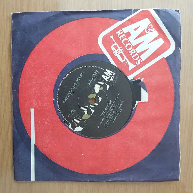 Toni Childs  Stop Your Fussin' - Vinyl 7" Record - Very-Good+ Quality (VG+) (verygoodplus)