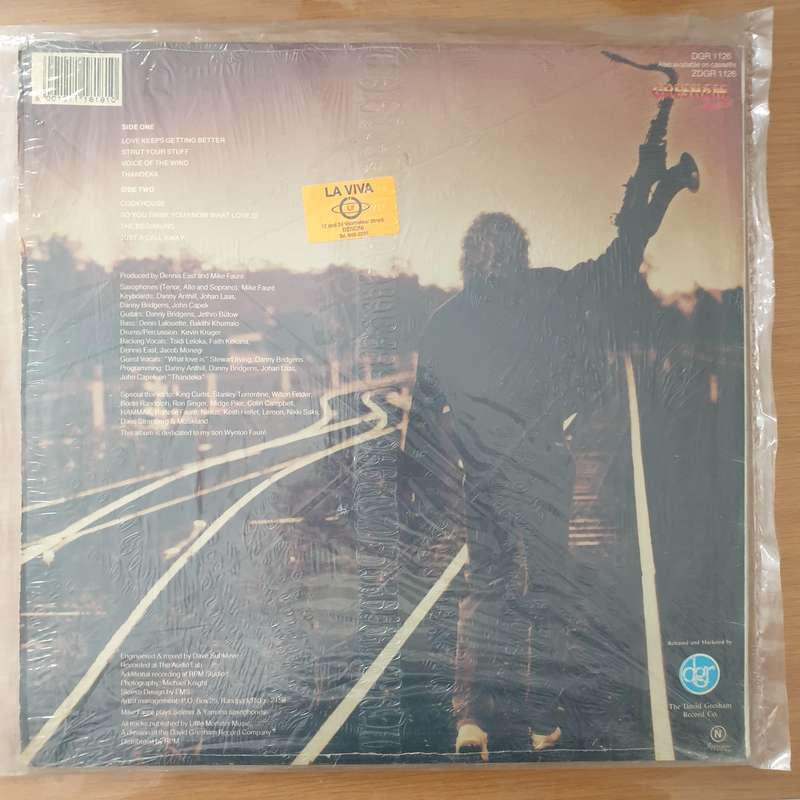 Mike Fauré   Voice Of The Wind - Vinyl LP Record - Very-Good+ Quality (VG+) (verygoodplus)
