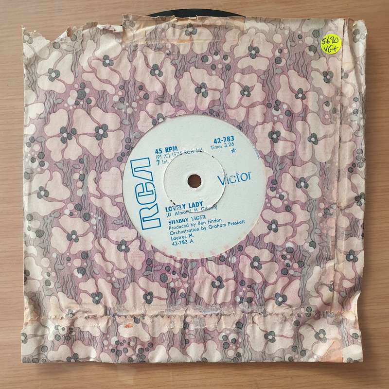 Vicki Sue Robinson  Daylight / Never Gonna Let You Go (Rhodesia)  - Vinyl 7" Record - Very-Goo...