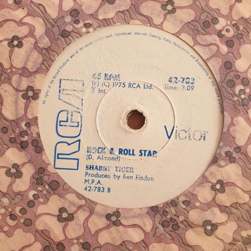 Vicki Sue Robinson  Daylight / Never Gonna Let You Go (Rhodesia)  - Vinyl 7" Record - Very-Goo...