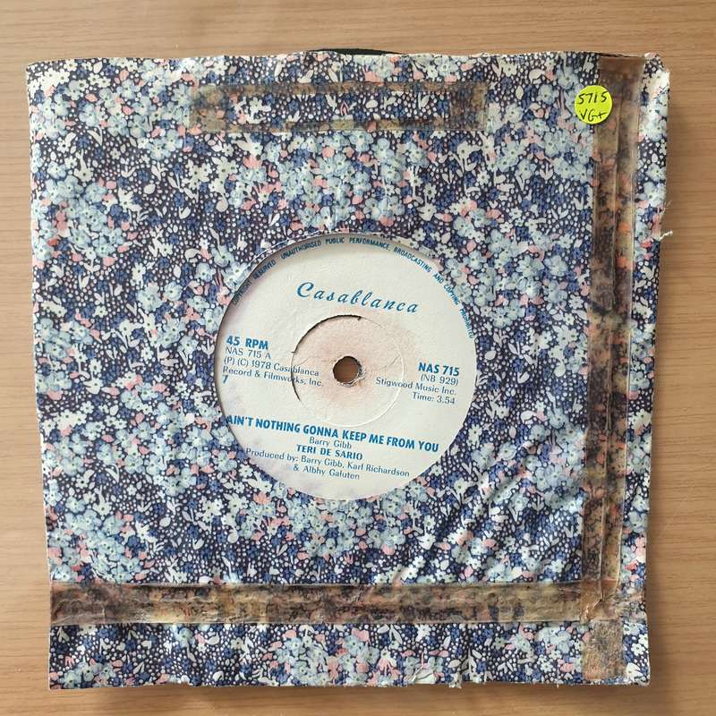 Teri De Sario  Ain't Nothing Gonna Keep Me From You (Rhodesia) - Vinyl 7" Record - Very-Good+ ...