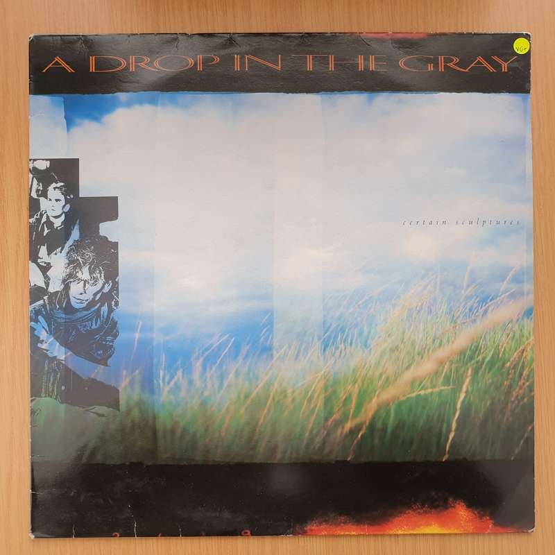 A Drop In The Gray  Certain Sculptures -  Vinyl LP Record - Very-Good+ Quality (VG+)