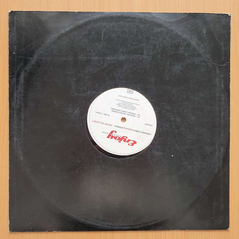 Håkan Lidbo Featuring Emma  What Is Love? - Vinyl LP Record - Very-Good+ Quality (VG+)