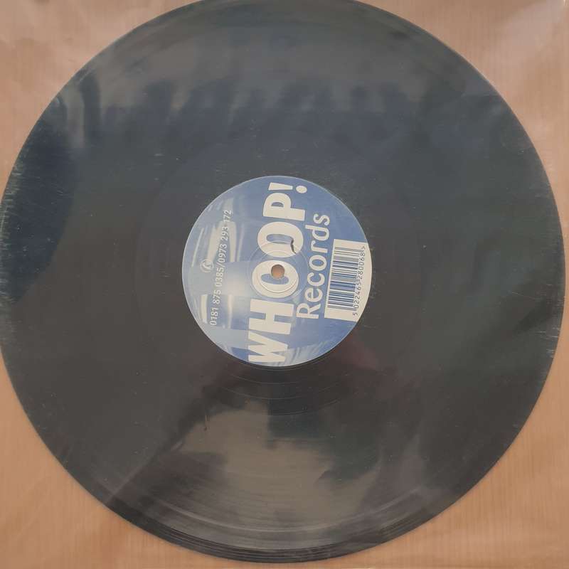 Brutal DeLuxe  Brutal Deluxe  The Conflict - Vinyl LP Record - Very-Good+ Quality (VG+)