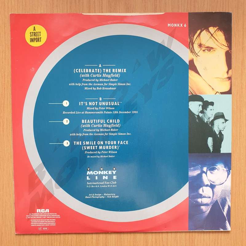 The Blow Monkeys With Curtis Mayfield  (Celebrate) The Day After You - Vinyl LP Record - Very-...