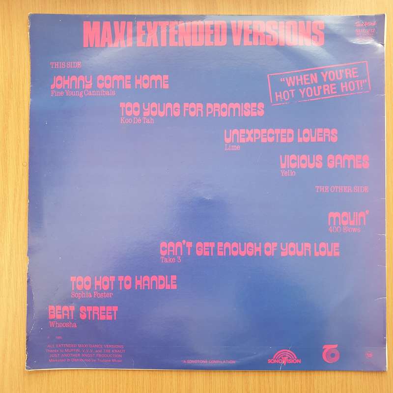 When You're Hot You're Hot! - Various  Vinyl LP Record - Very-Good+ Quality (VG+) (verygoodplus)