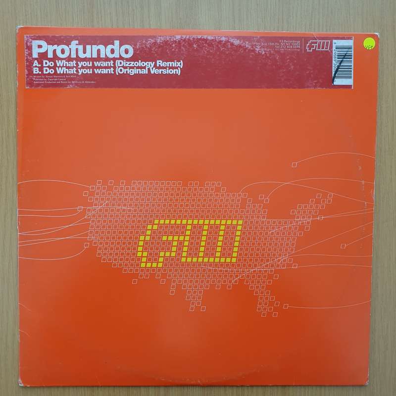 Profundo  Do What You Want  Vinyl LP Record - Very-Good+ Quality (VG+) (verygoodplus)
