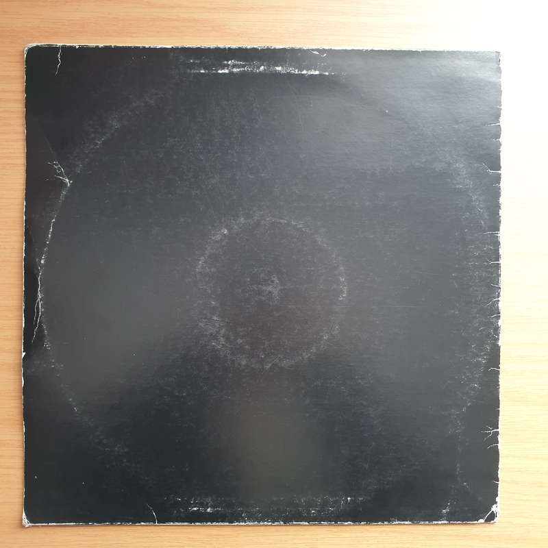 Wink  Simple Man (Optical Remixes) - Promo - Vinyl LP Record - Very-Good+ Quality (VG+)