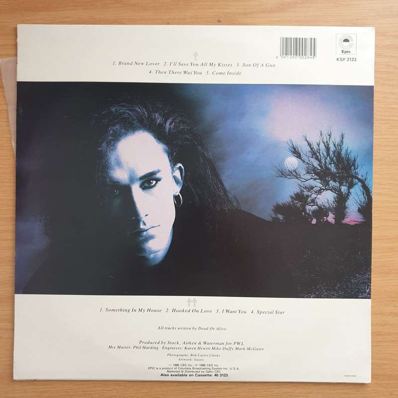 Dead Or Alive  Mad, Bad And Dangerous To Know  Vinyl LP Record - Very-Good+ Quality (VG+) (...