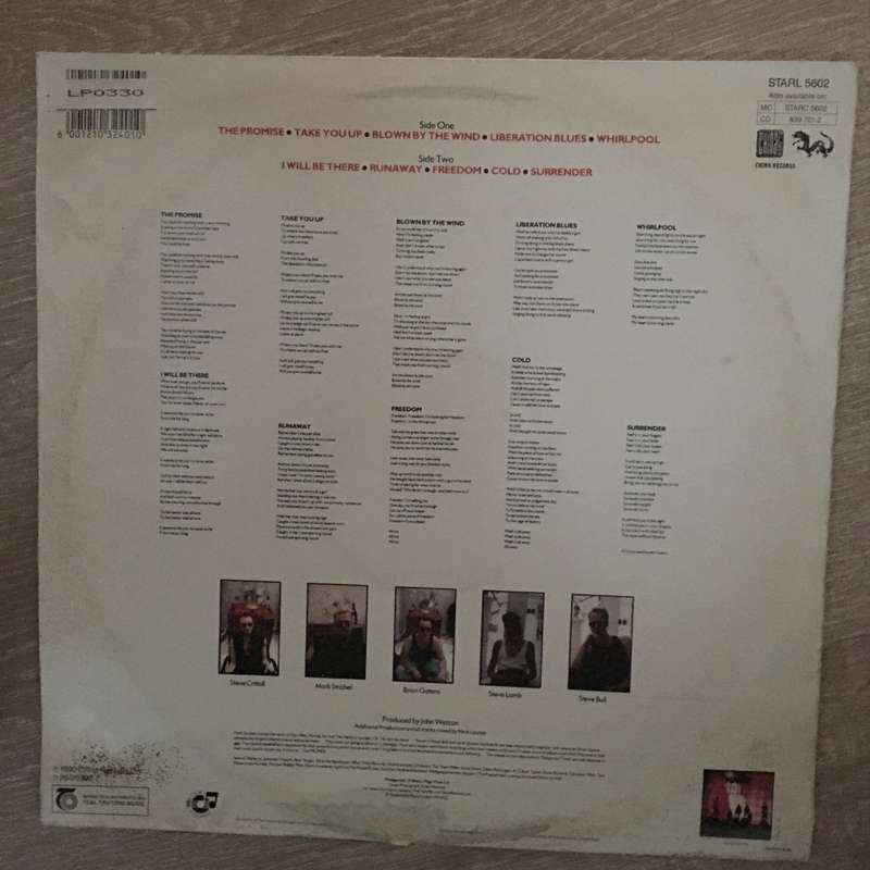 The Name  Promise - Vinyl LP Record - Opened  - Very-Good+ Quality (VG+)