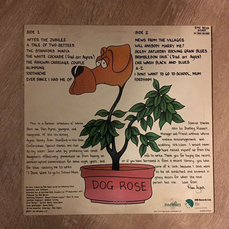 Pay Ayres - Will Anybody Marry Me - Vinyl LP Record - Opened  - Very-Good+ Quality (VG+)