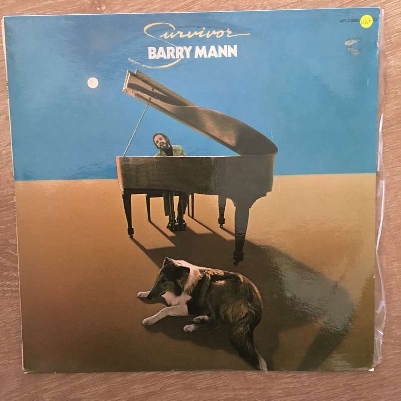 Barry Mann - Survivor - Vinyl LP Record - Opened  - Very-Good+ Quality (VG+)