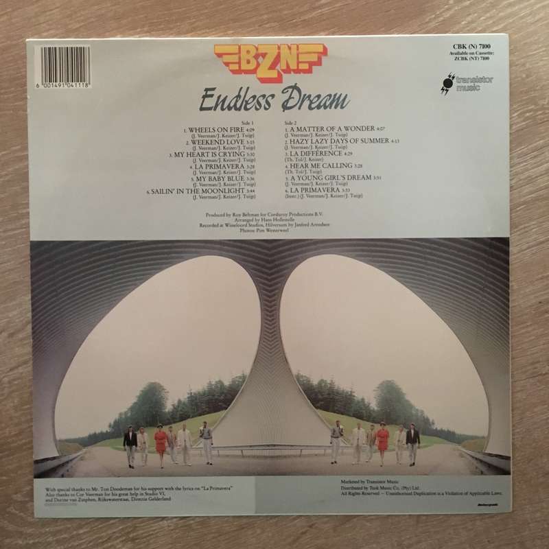 BZN - Endless Dream - Vinyl LP Record - Very-Good+ Quality (VG+)rygoodplus)