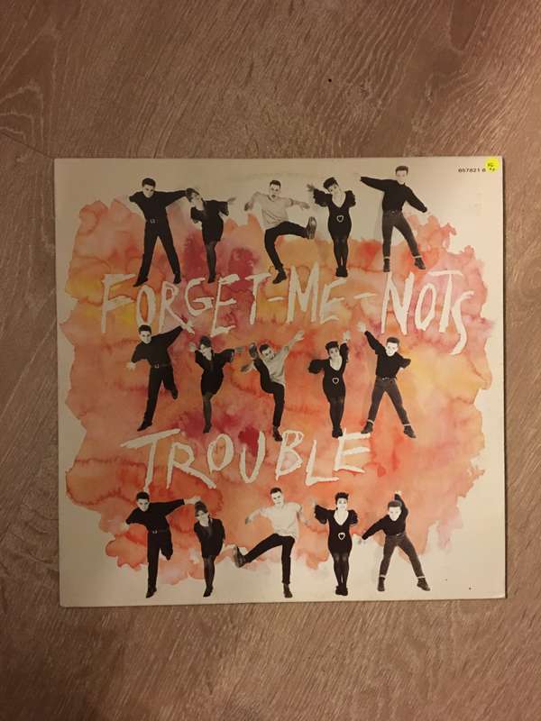 Forget Me Nots - Trouble - Vinyl LP Record - Opened  - Very-Good+ Quality (VG+)