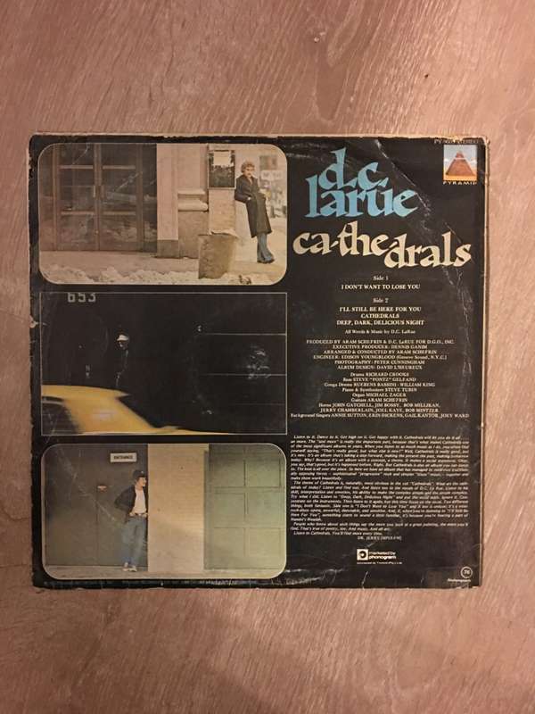 DC Larue - Cathedrals - Vinyl LP Record - Opened  - Very-Good Quality (VG)