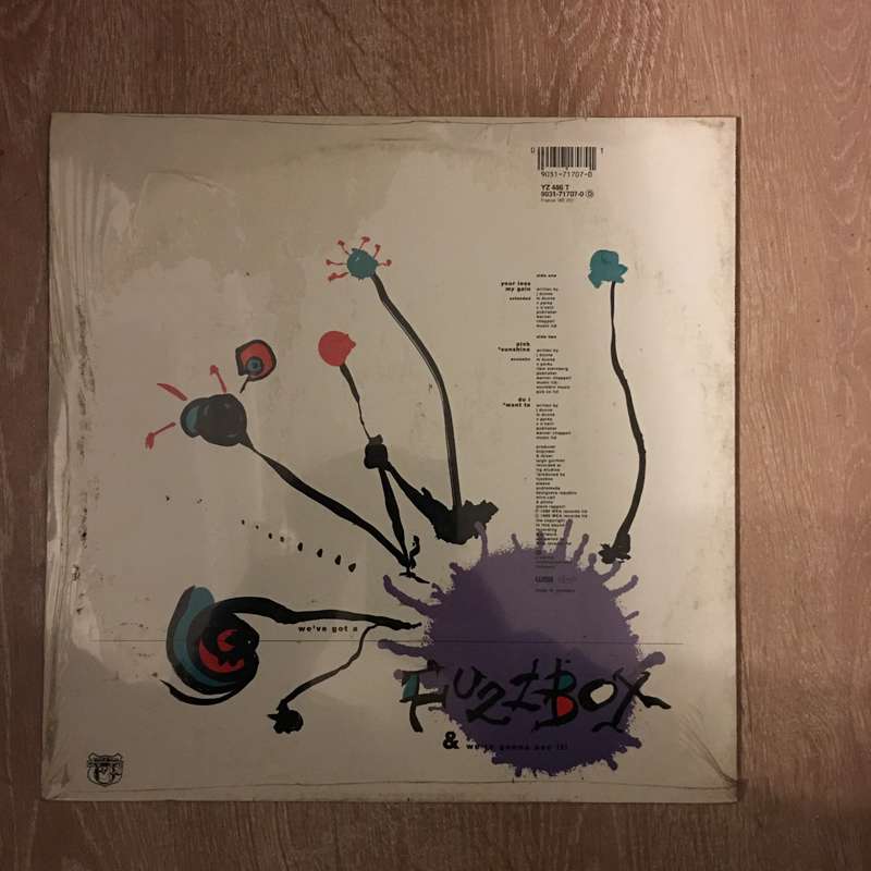We've Got a Fuzzbox & We're Gonna Use It-  Vinyl LP - New Sealed