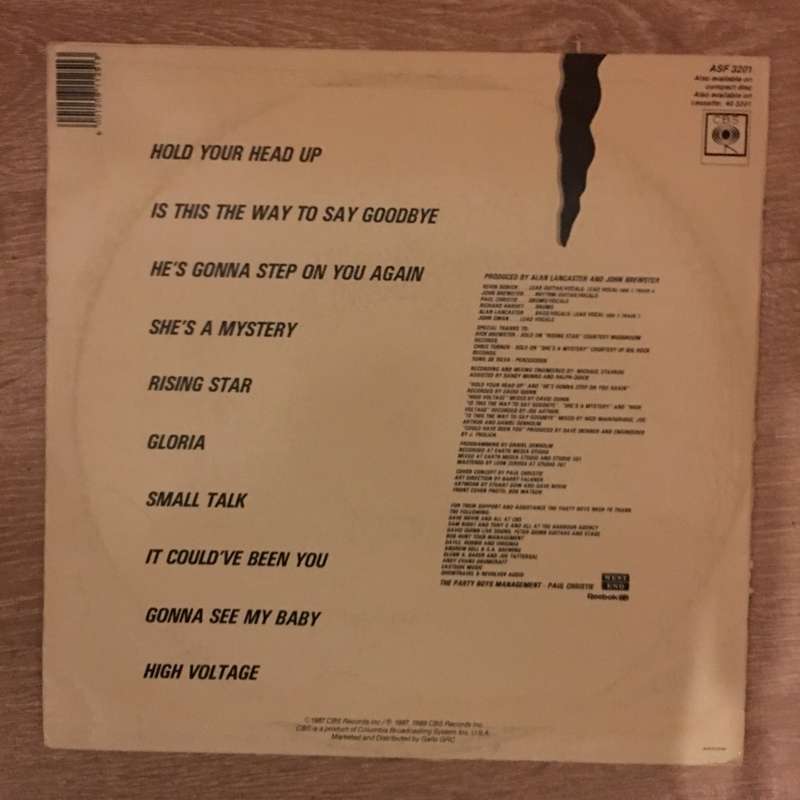 The Party Boys - Vinyl LP Record - Opened  - Very-Good Quality (VG)