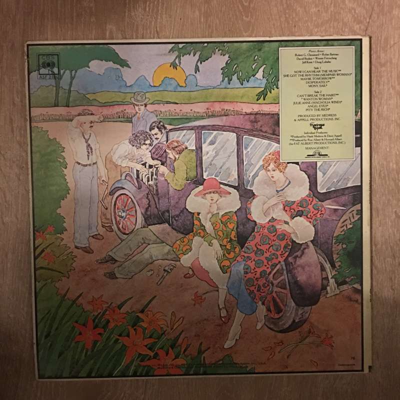 Pierce Arrow - Pity The Rich - Vinyl LP Record  - Opened  - Very-Good+ Quality (VG+)