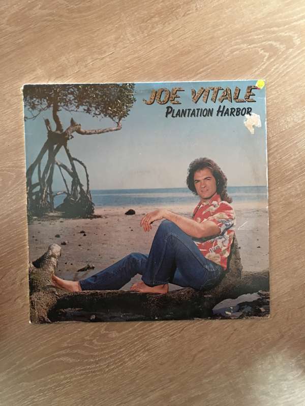 Joe Vitale - Plantation Harbor- Vinyl LP Record - Opened  - Very-Good+ Quality (VG+)