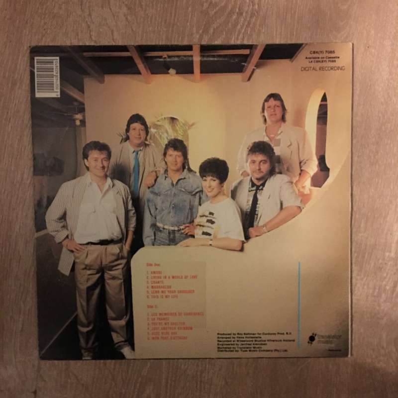 BZN - Visions - Vinyl LP Record - Very-Good Quality (VG)