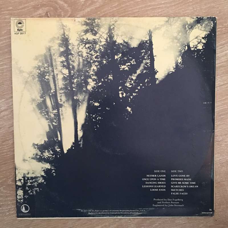 Dan Fogelberg  Nether Lands -  Vinyl LP Record - Opened  - Very-Good Quality (VG)