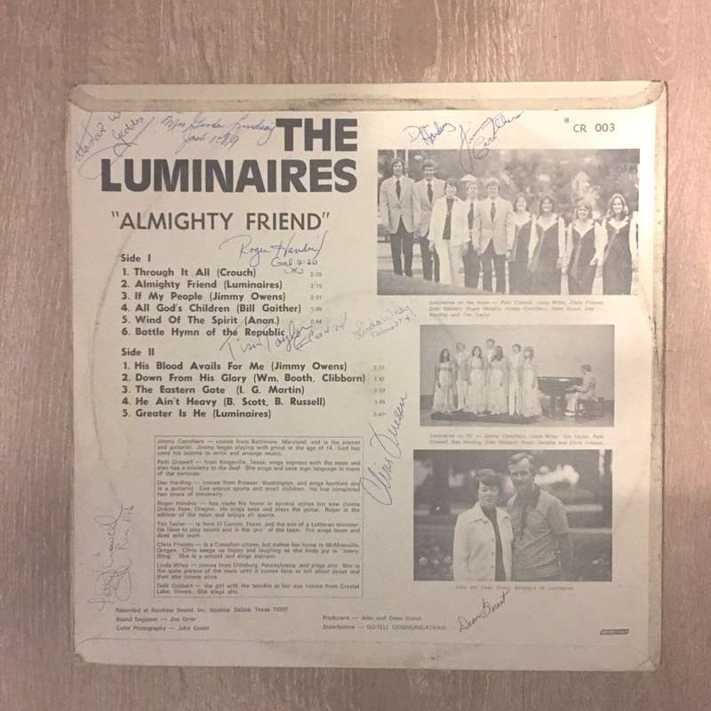The Luminaires - Vinyl LP Record - Opened  - Very-Good Quality (VG)