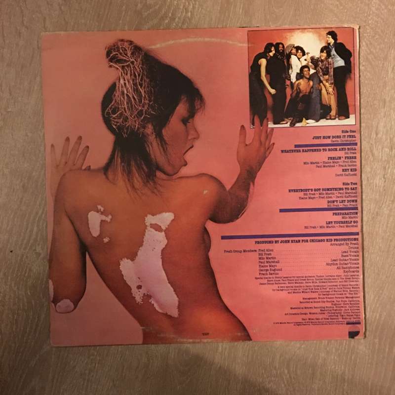 Fresh - Feelin' Fresh - Vinyl LP Record - Opened  - Very-Good Quality (VG)