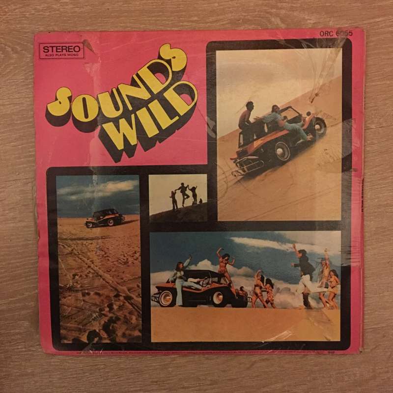 Sounds Wild - Vinyl LP Record - Opened  - Good Quality (G)