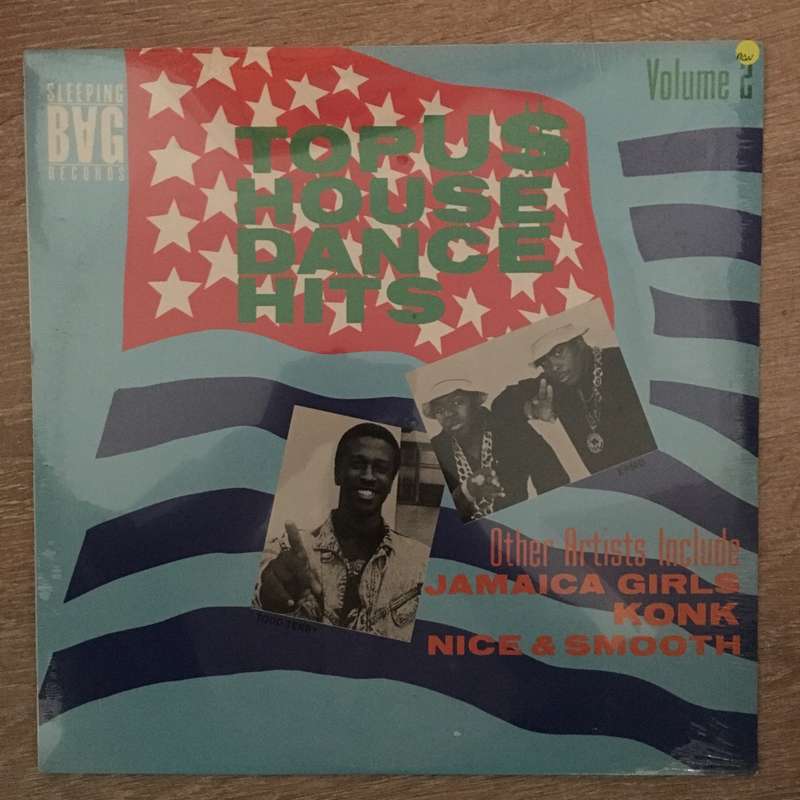 Top US House Hits Vol 2 - Vinyl LP  Record - Sealed