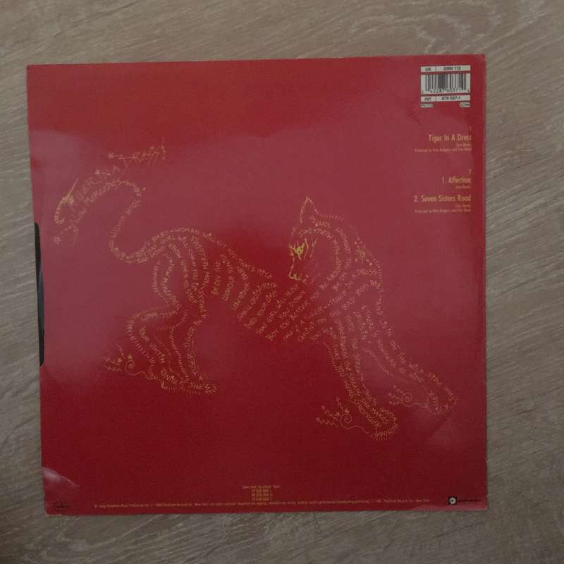 Dan Reed Network - Tiger In A Dress -  Vinyl LP - Opened  - Very-Good+ Quality (VG+)