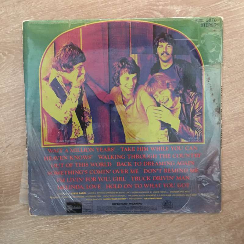 The Grass Roots - Leaving It All Behind - Vinyl LP Record - Opened  - Very-Good+ Quality (VG+)