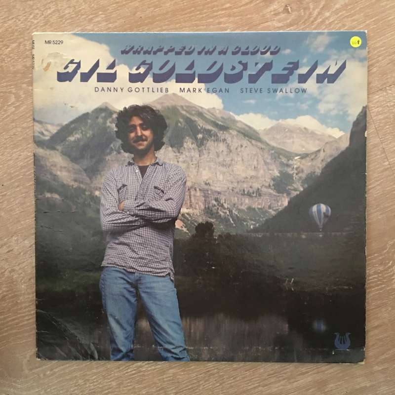 Gil Goldstein  Wrapped In A Cloud - Vinyl LP Record - Opened  - Very-Good+ Quality (VG+)