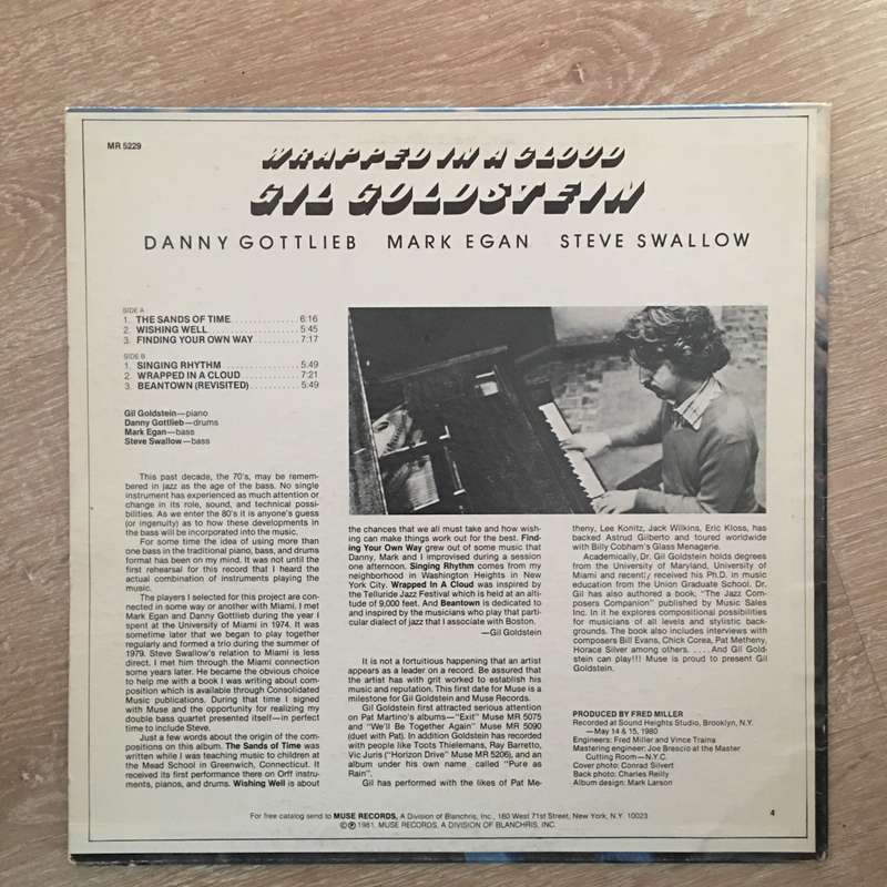 Gil Goldstein  Wrapped In A Cloud - Vinyl LP Record - Opened  - Very-Good+ Quality (VG+)