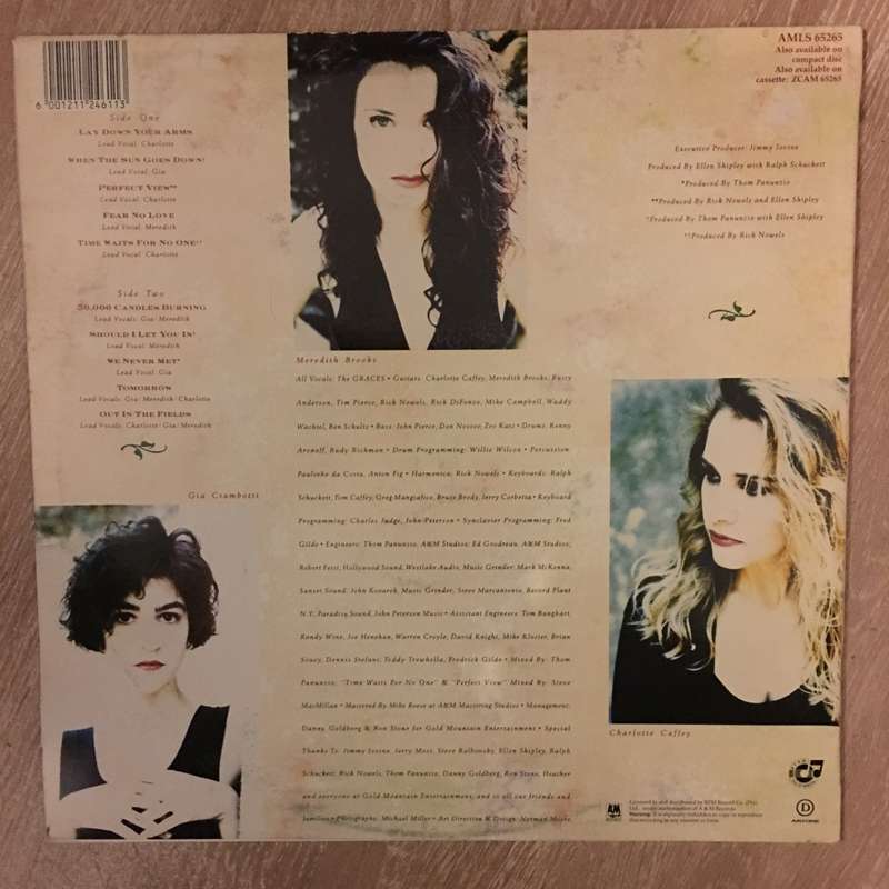The Graces  Perfect View  - Vinyl LP Record  (VG+)
