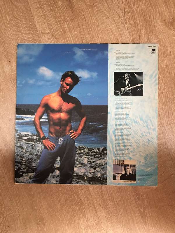Sting - Love is the Seventh Wave - New Mix - Vinyl LP Record  - Very-Good+ Quality (VG+)