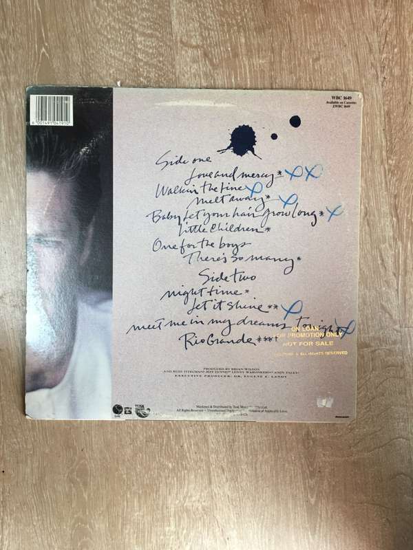 Brian Wilson - Vinyl LP Record - Opened  - Very-Good- Quality (VG-)