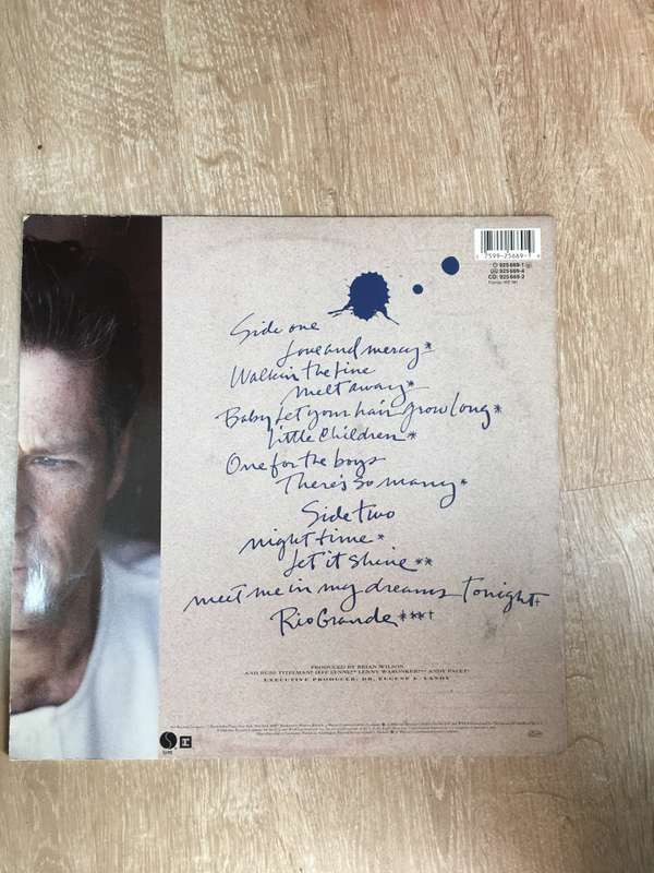 Brian Wilson - Vinyl LP Record - Opened  - Very-Good+ Quality (VG+)