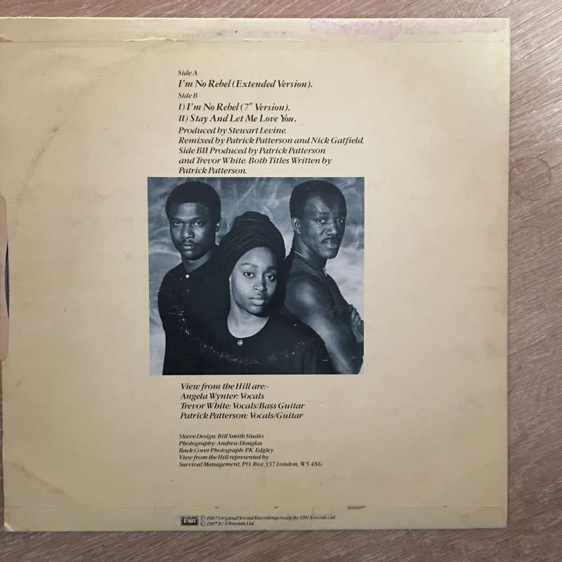 View From the Hill - I'm No Rebel - Vinyl Record - Opened  - Good+ Quality (G+)