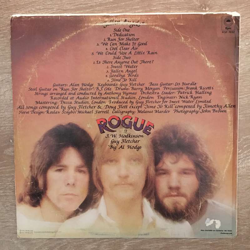 Rogue  Fallen Angels - Vinyl LP Record - Opened  - Very-Good Quality (VG)