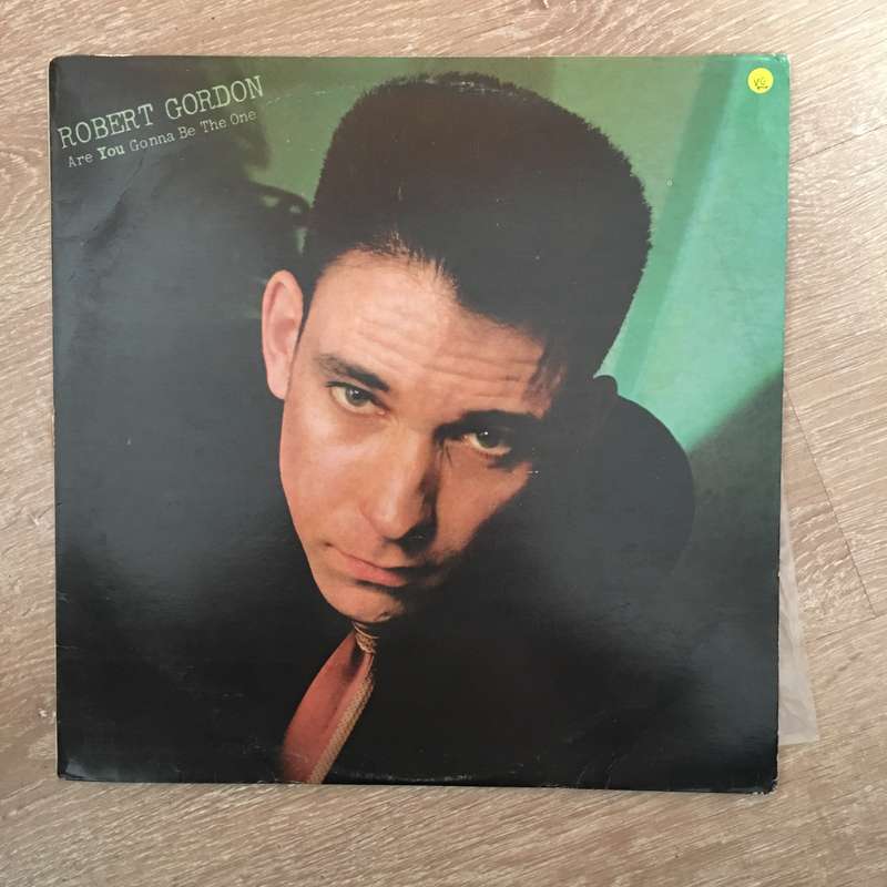 Robert Gordon - Are You Gonna Be The One - Vinyl LP Record - Opened  - Very-Good+ Quality (VG+)