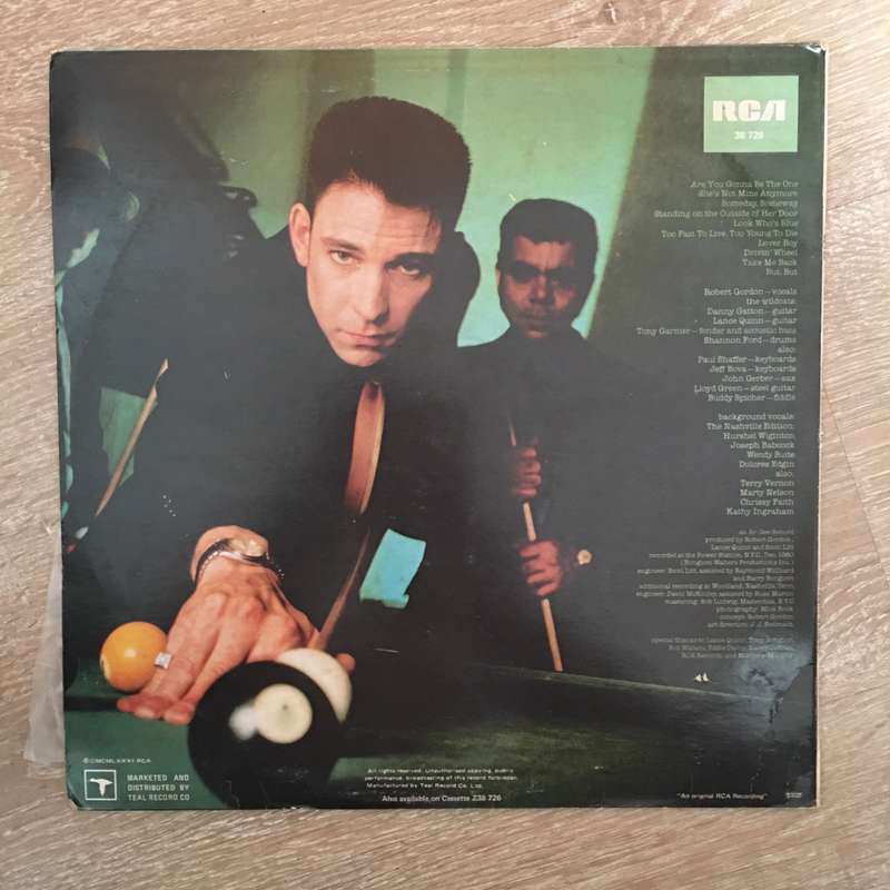 Robert Gordon - Are You Gonna Be The One - Vinyl LP Record - Opened  - Very-Good+ Quality (VG+)
