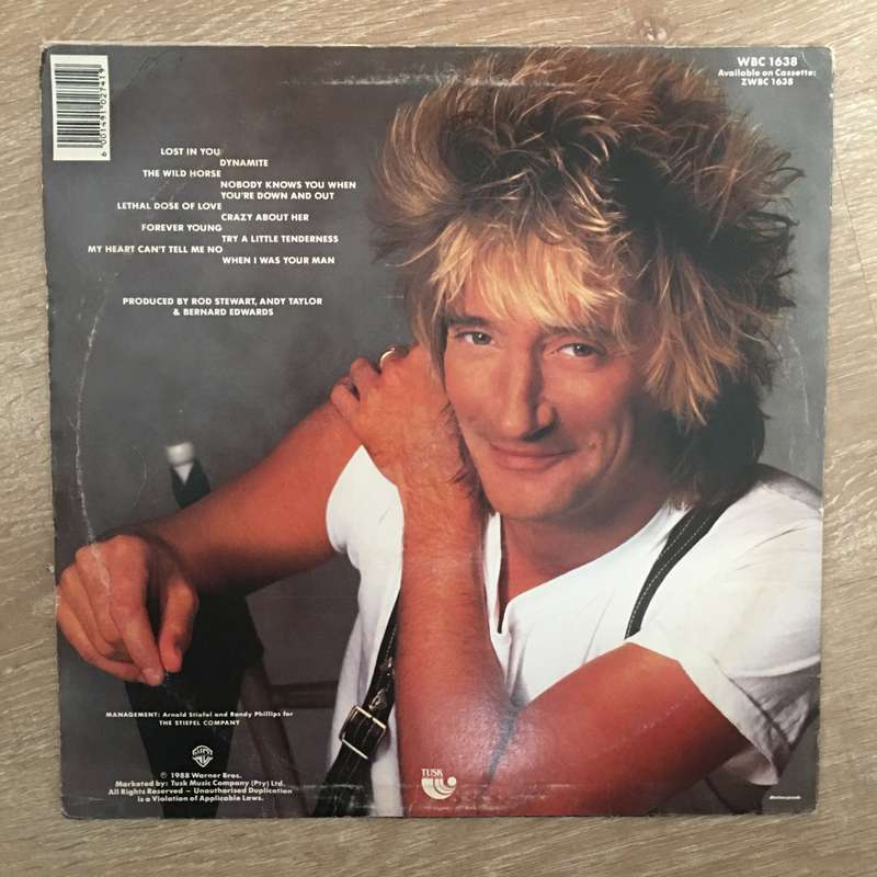 Rod Stewart - Out of Order - Vinyl LP Record - Opened  - Very-Good Quality (VG)