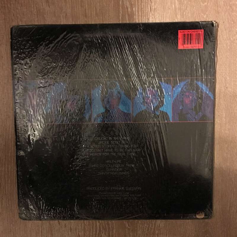 Survivor - Vinyl LP Record - Opened  - Very-Good+ Quality (VG+)