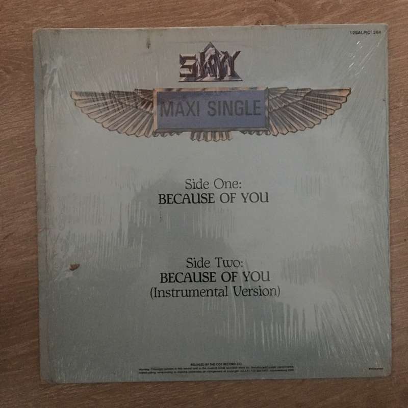 Skyy - Because Of You  - Vinyl Maxi Record - Opened  - Very-Good+ Quality (VG+)