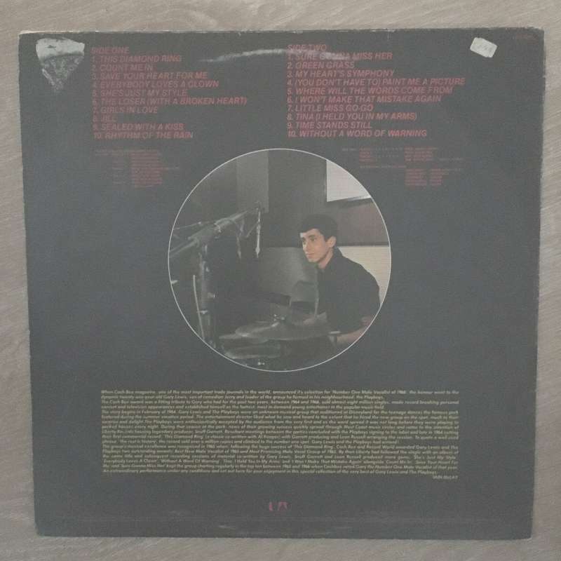 Gary Lewis & The Playboys - 20 Golden Greats - Vinyl LP Record - Opened  - Very-Good Quality (VG)