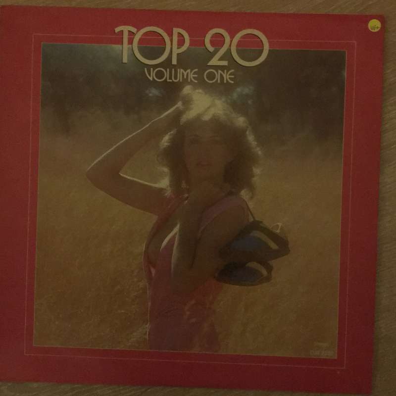 Top 20 - Volume One - Vinyl LP Record  - Very-Good+ Quality (VG+)