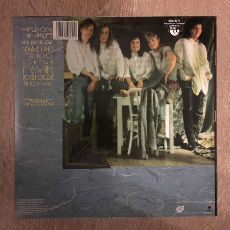 Shaking Family - Dreaming in Detail -  Vinyl LP Record (VG+)