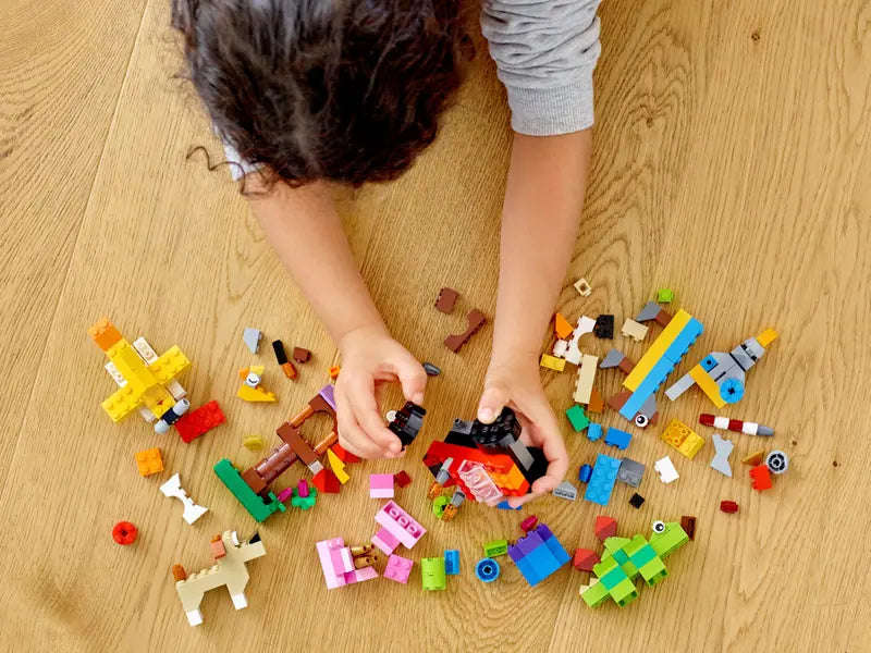 LEGO® Classic Basic Brick Set