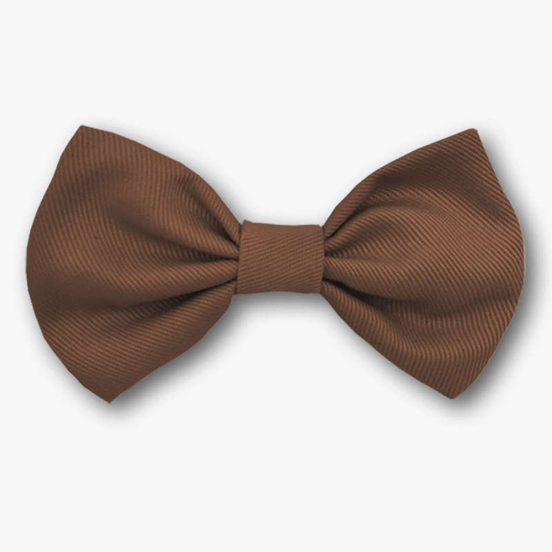 Little lads Bow tie