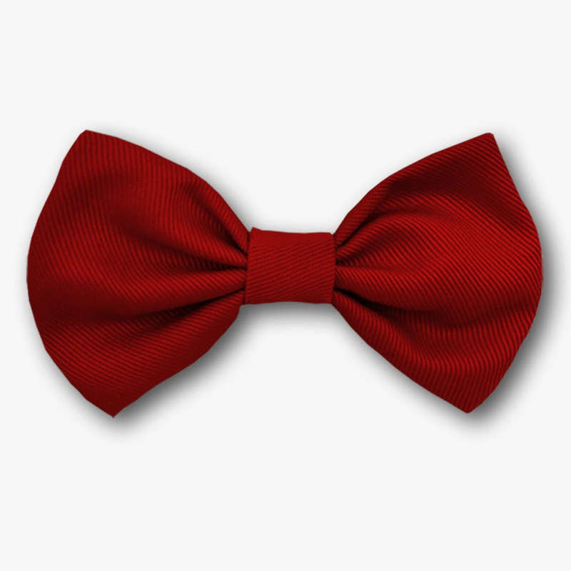 Little lads Bow tie